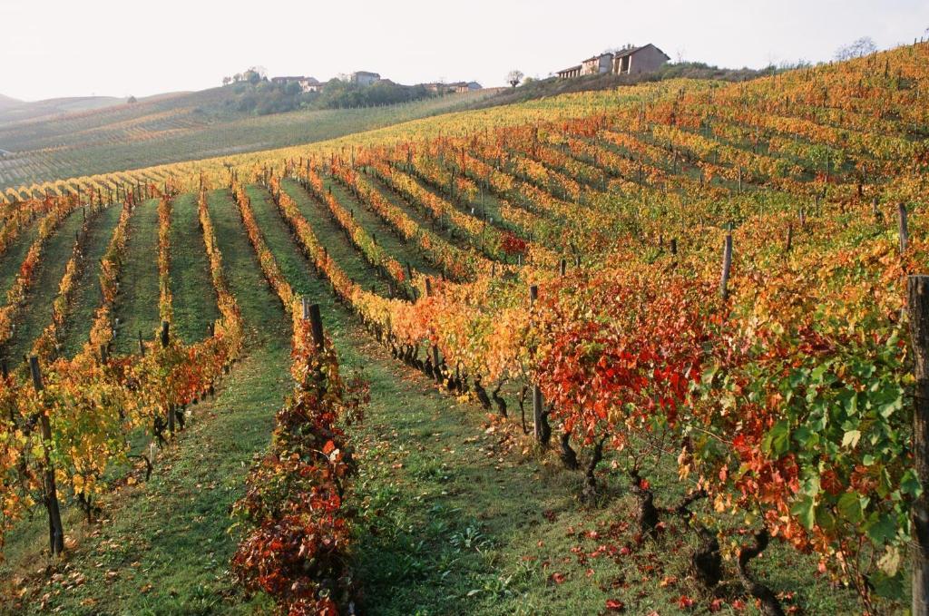 San Martino Alfieri Marchesi Alfieri - Cantine E Ospitalita المظهر الخارجي الصورة